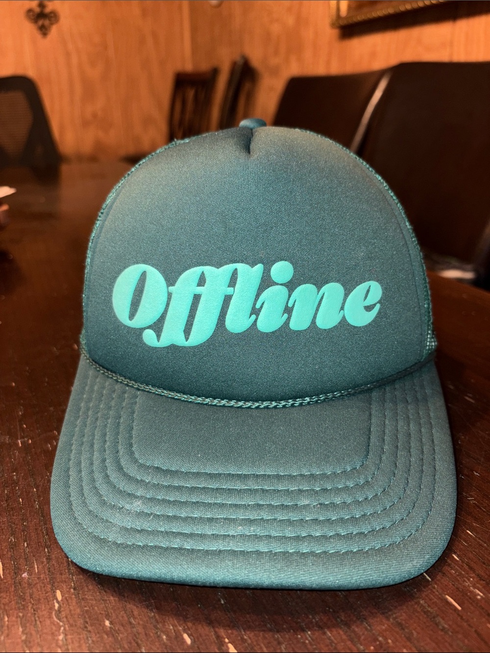 Offline Script Logo Trucker Hat - Teal